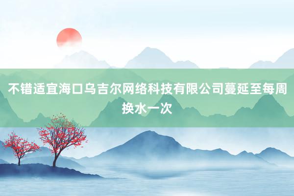 不错适宜海口乌吉尔网络科技有限公司蔓延至每周换水一次
