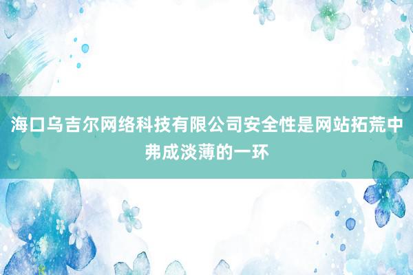 海口乌吉尔网络科技有限公司安全性是网站拓荒中弗成淡薄的一环