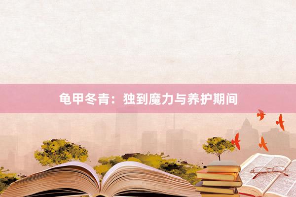 龟甲冬青：独到魔力与养护期间