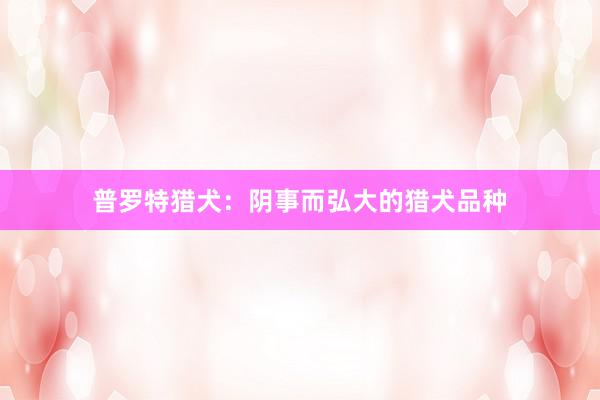 普罗特猎犬：阴事而弘大的猎犬品种